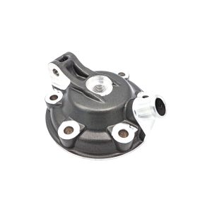 8687 CYLINDER HEAD 300 SE EVO  MANGANESE